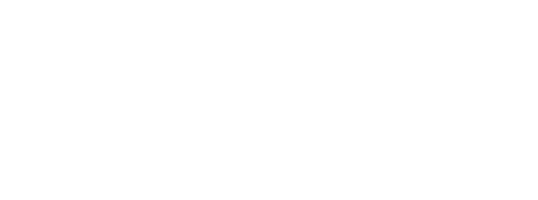 Flow Logo